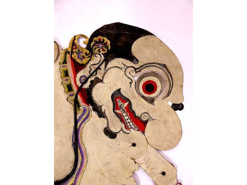buta terong-ey 238-yogya-head-nose-forehead-lft-c.w.angst